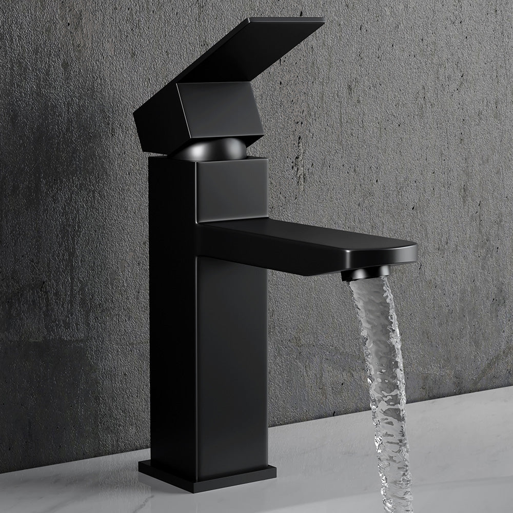 Matte Black Single Handle Stainless Steel Bathroom Tap