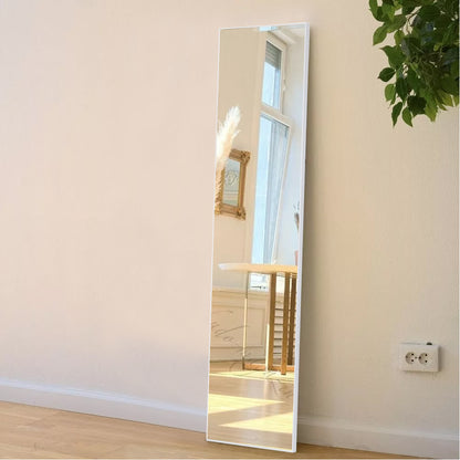 147cm H Metal Frame Over the Door Full Length Mirror