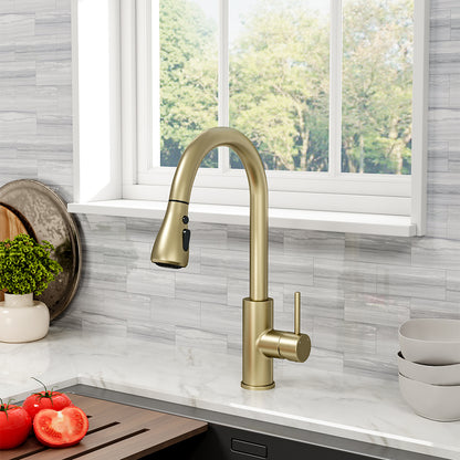 Black/Gold Retractable Commercial Pulldown Kitchen Faucet