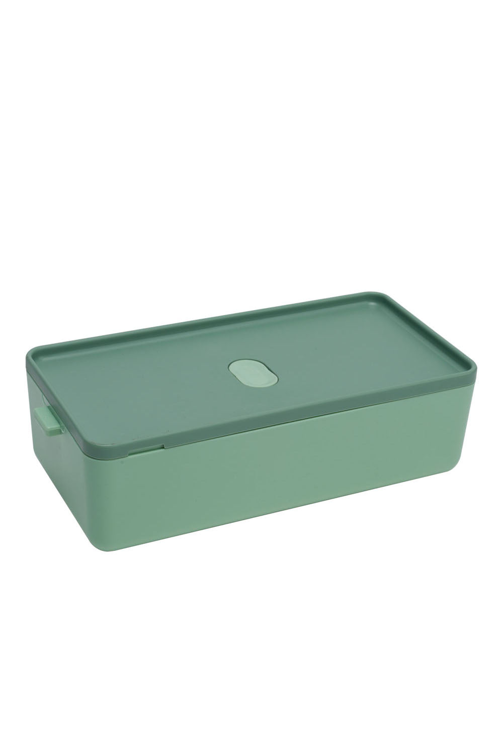 Dual-Layer Plastic Bento Lunch Box