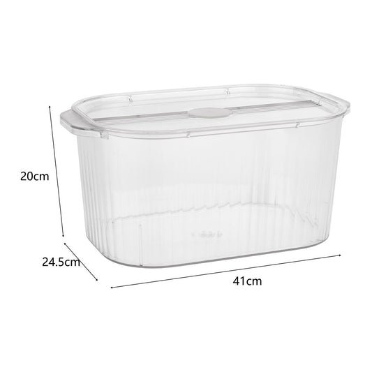 Clear Extra Large Plastic Container Storage Box