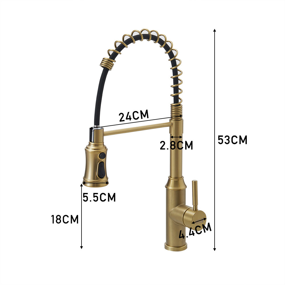 Rotable Pulldown Kitchen Mixer Tap with Spring Spout Brushed Gold